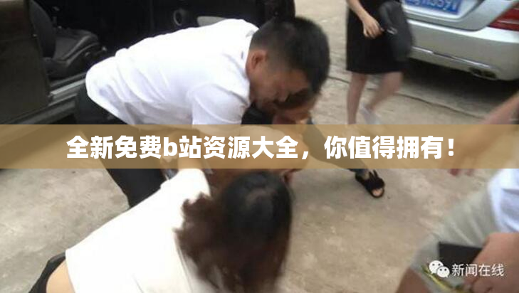 全新免费b站资源大全，你值得拥有！