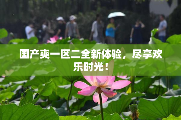 国产爽一区二全新体验，尽享欢乐时光！