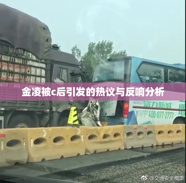 金凌被c后引发的热议与反响分析
