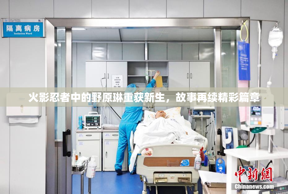 火影忍者中的野原琳重获新生，故事再续精彩篇章