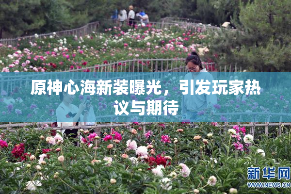 原神心海新装曝光，引发玩家热议与期待