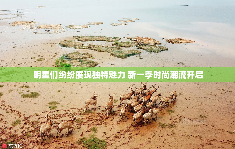 明星们纷纷展现独特魅力 新一季时尚潮流开启