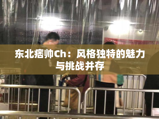 东北痞帅Ch：风格独特的魅力与挑战并存