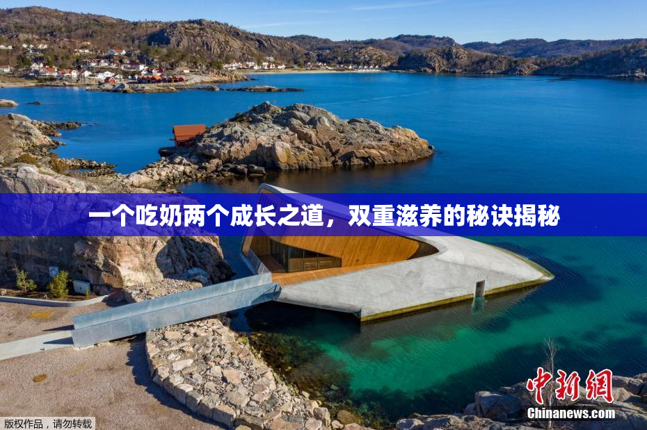 一个吃奶两个成长之道，双重滋养的秘诀揭秘
