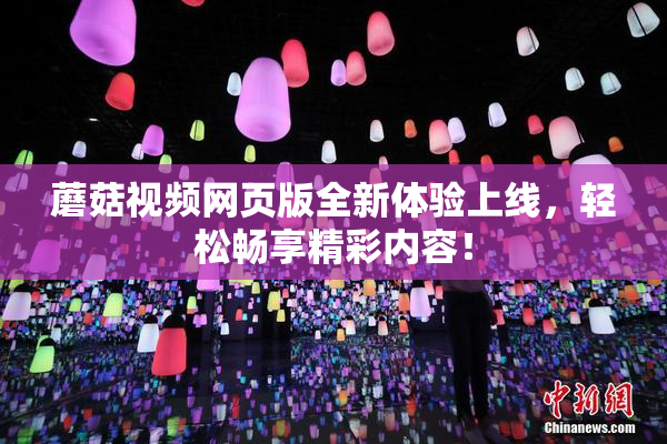 蘑菇视频网页版全新体验上线，轻松畅享精彩内容！