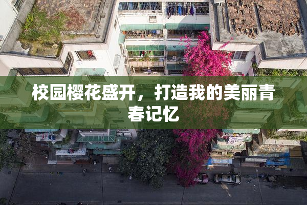 校园樱花盛开，打造我的美丽青春记忆