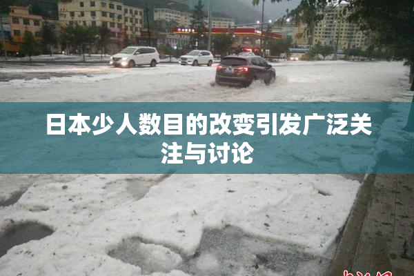 日本少人数目的改变引发广泛关注与讨论