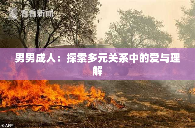 男男成人：探索多元关系中的爱与理解