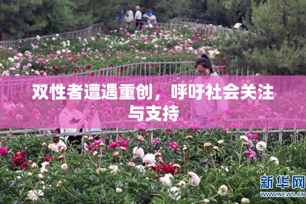 双性者遭遇重创，呼吁社会关注与支持