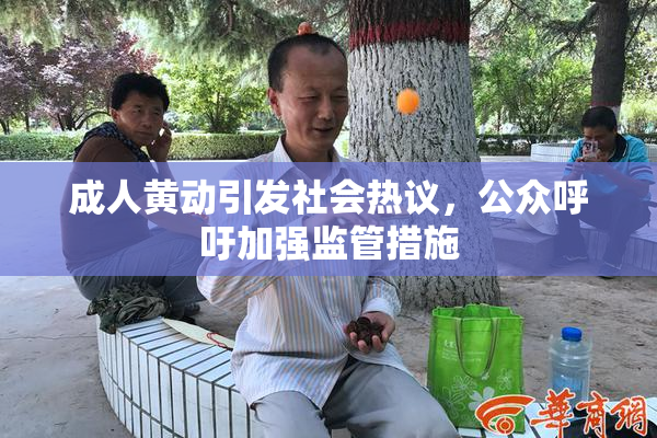 成人黄动引发社会热议，公众呼吁加强监管措施