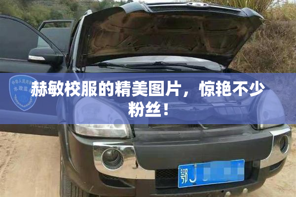 赫敏校服的精美图片，惊艳不少粉丝！