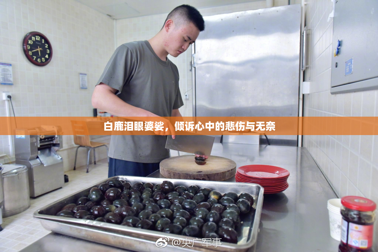 白鹿泪眼婆娑，倾诉心中的悲伤与无奈