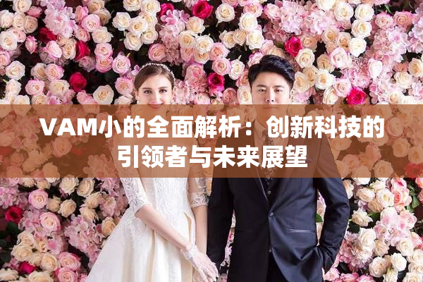 VAM小的全面解析：创新科技的引领者与未来展望