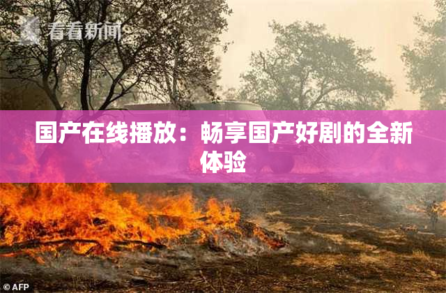 国产在线播放：畅享国产好剧的全新体验