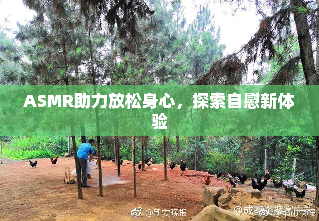 ASMR助力放松身心，探索自慰新体验