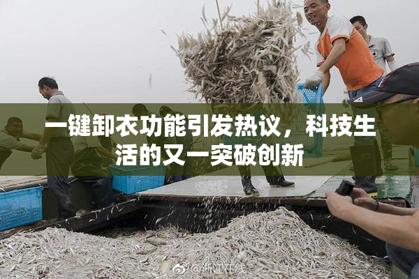 一键卸衣功能引发热议，科技生活的又一突破创新