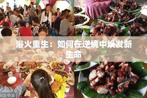 浴火重生：如何在逆境中焕发新生命