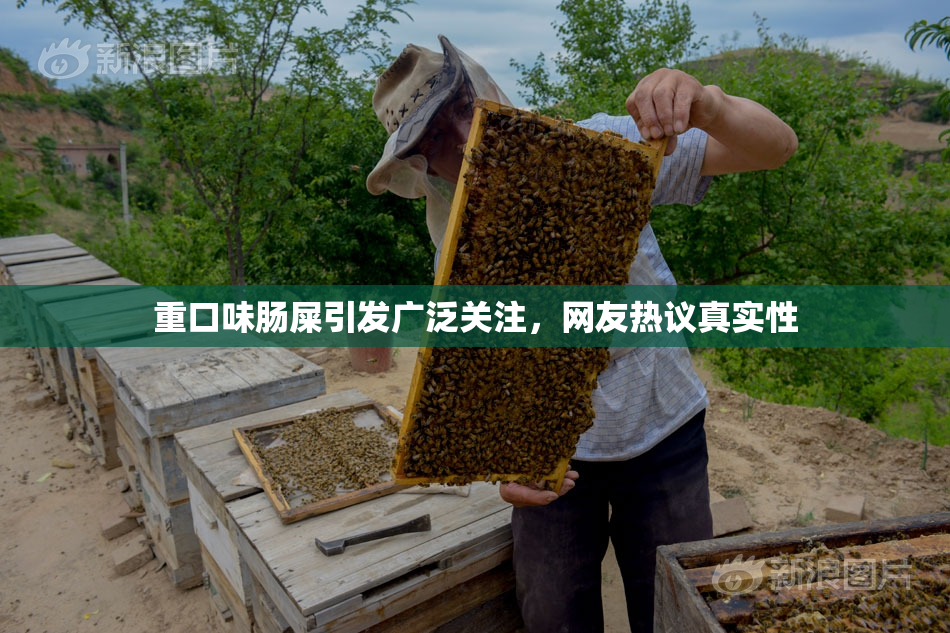重口味肠屎引发广泛关注，网友热议真实性