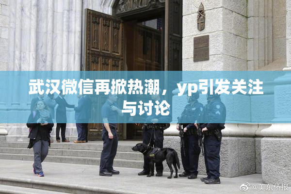 武汉微信再掀热潮，yp引发关注与讨论