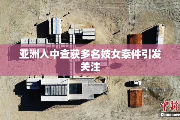 亚洲人中查获多名妓女案件引发关注