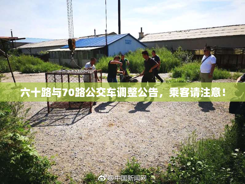 六十路与70路公交车调整公告，乘客请注意！