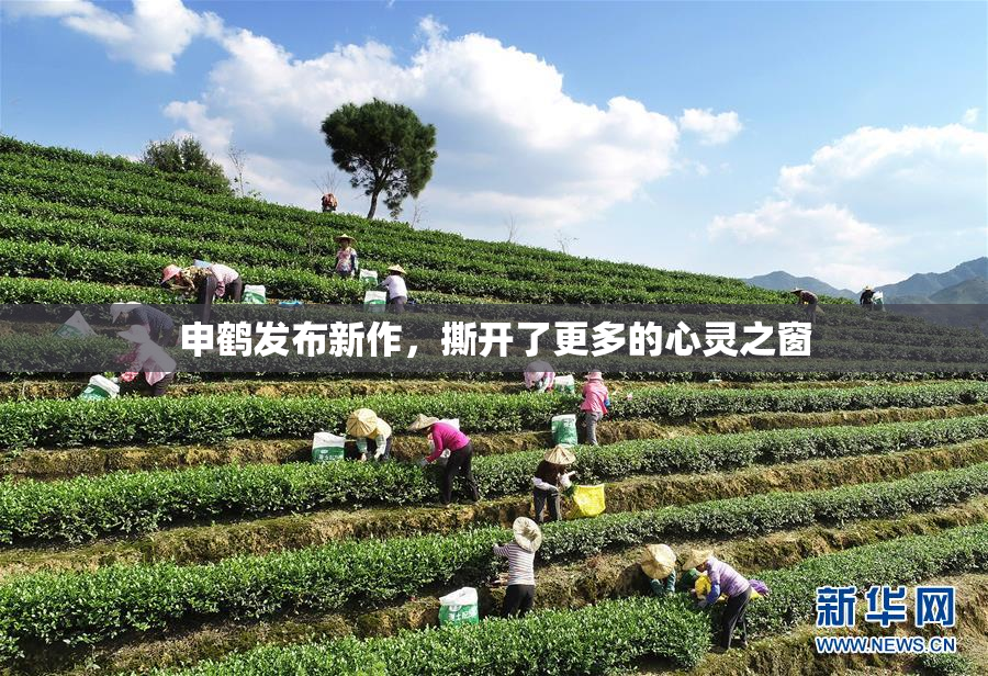 申鹤发布新作，撕开了更多的心灵之窗