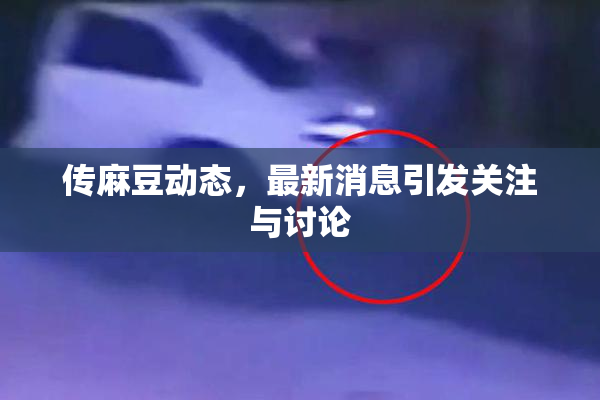 传麻豆动态，最新消息引发关注与讨论