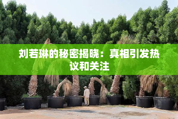 刘若琳的秘密揭晓：真相引发热议和关注