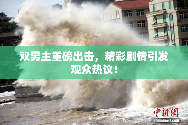 双男主重磅出击，精彩剧情引发观众热议！