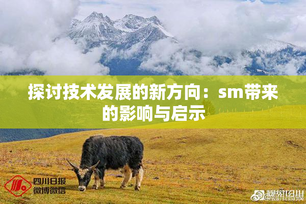 探讨技术发展的新方向：sm带来的影响与启示