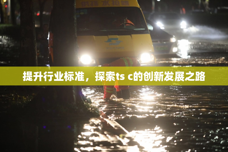 提升行业标准，探索ts c的创新发展之路