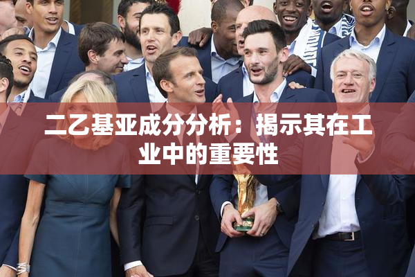 二乙基亚成分分析：揭示其在工业中的重要性