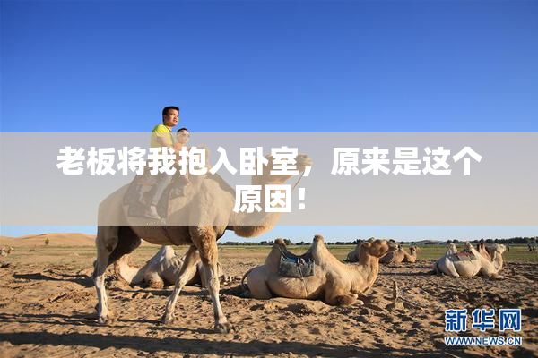 老板将我抱入卧室，原来是这个原因！