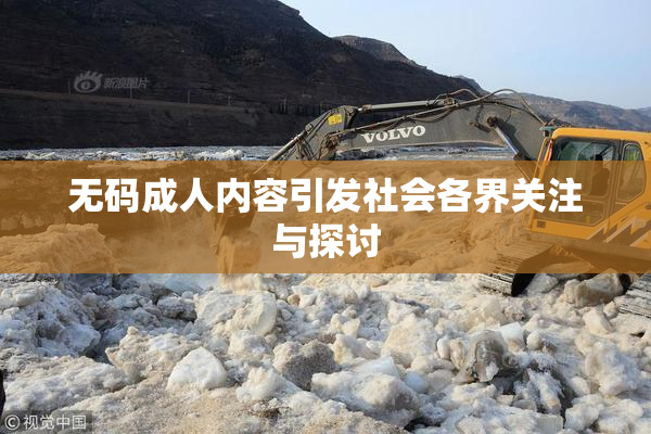 无码成人内容引发社会各界关注与探讨