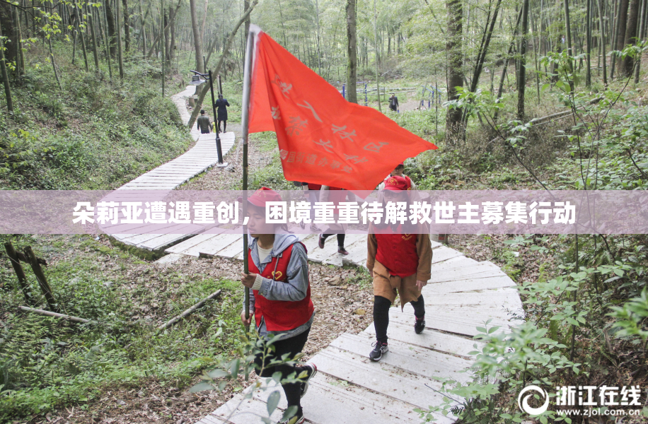 朵莉亚遭遇重创，困境重重待解救世主募集行动
