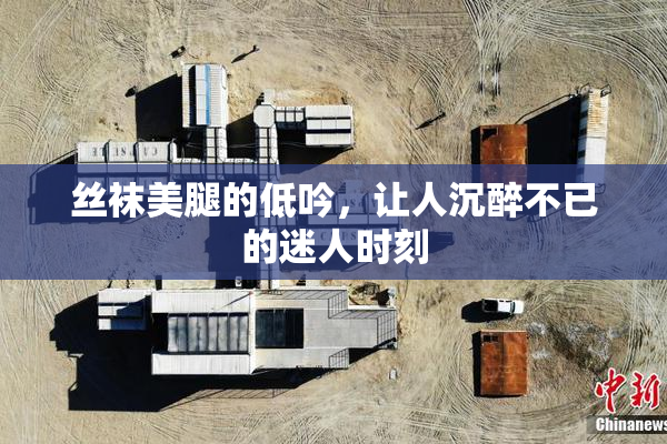 丝袜美腿的低吟，让人沉醉不已的迷人时刻