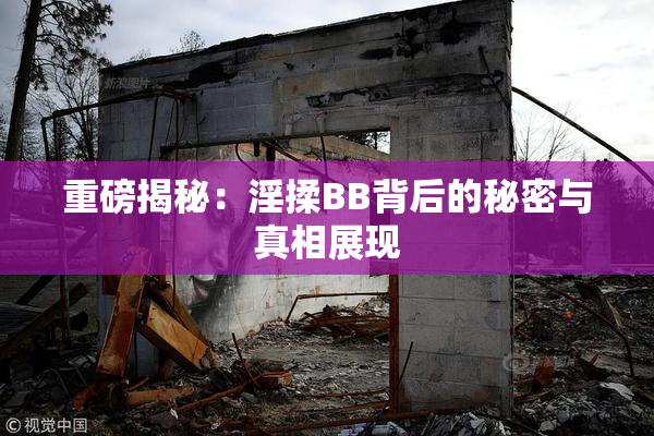 重磅揭秘：淫揉BB背后的秘密与真相展现
