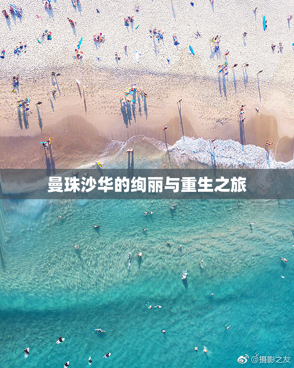 曼珠沙华的绚丽与重生之旅