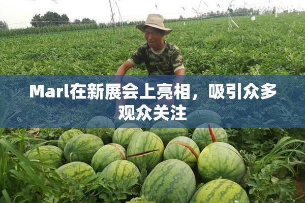 Marl在新展会上亮相，吸引众多观众关注