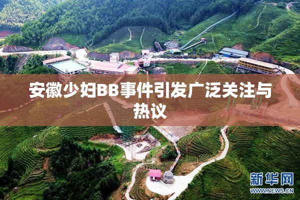安徽少妇BB事件引发广泛关注与热议