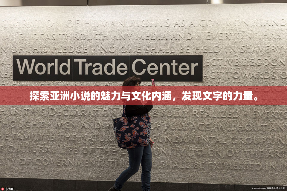 探索亚洲小说的魅力与文化内涵，发现文字的力量。