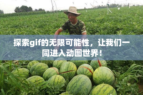 探索gif的无限可能性，让我们一同进入动图世界！