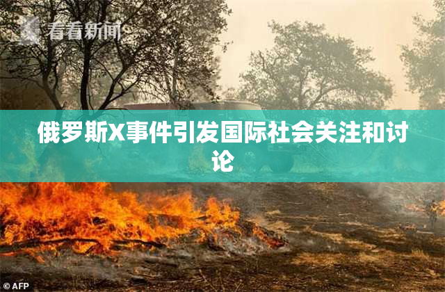 俄罗斯X事件引发国际社会关注和讨论