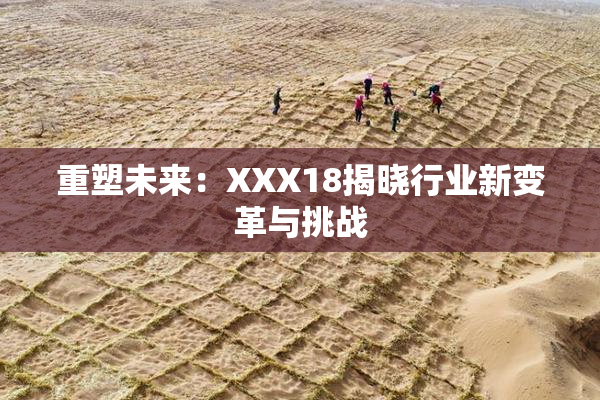 重塑未来：XXX18揭晓行业新变革与挑战