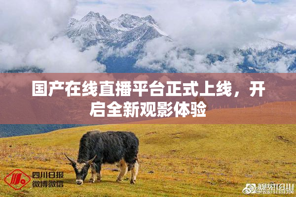 国产在线直播平台正式上线，开启全新观影体验