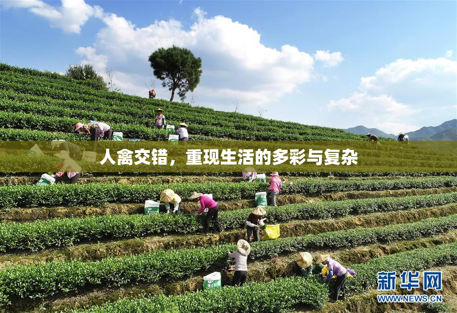 人禽交错，重现生活的多彩与复杂