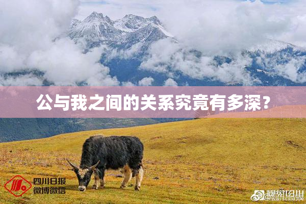 公与我之间的关系究竟有多深？