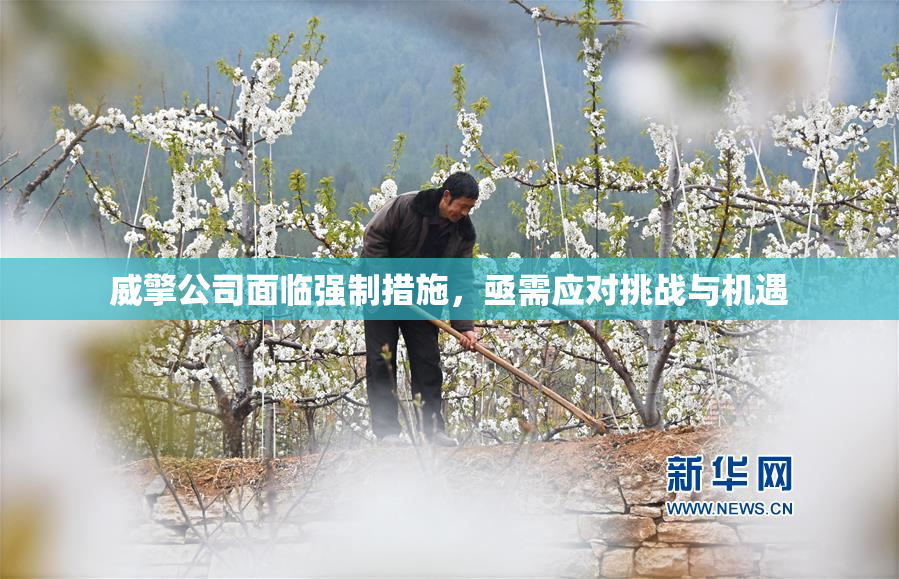 威擎公司面临强制措施，亟需应对挑战与机遇