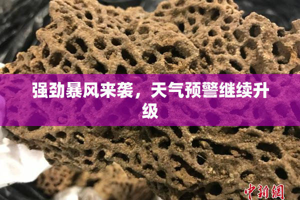 强劲暴风来袭，天气预警继续升级