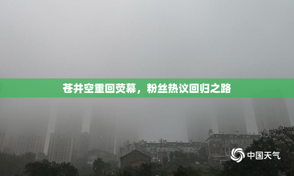 苍井空重回荧幕，粉丝热议回归之路